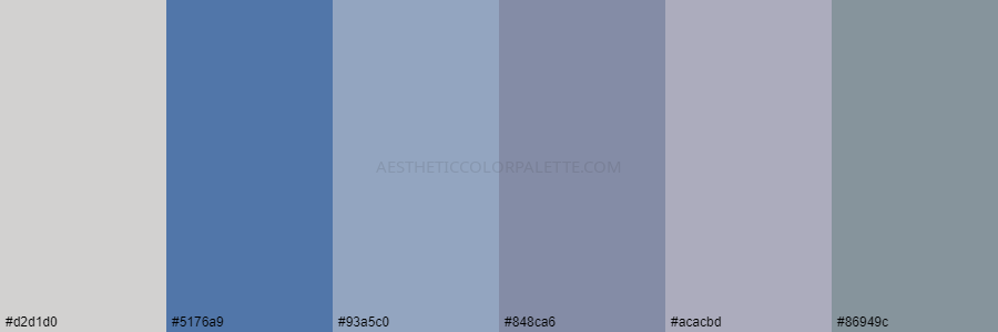 color palette d2d1d0 5176a9 93a5c0 848ca6 acacbd 86949c