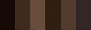Dark Brown Color Palettes - Aesthetic Color Palette