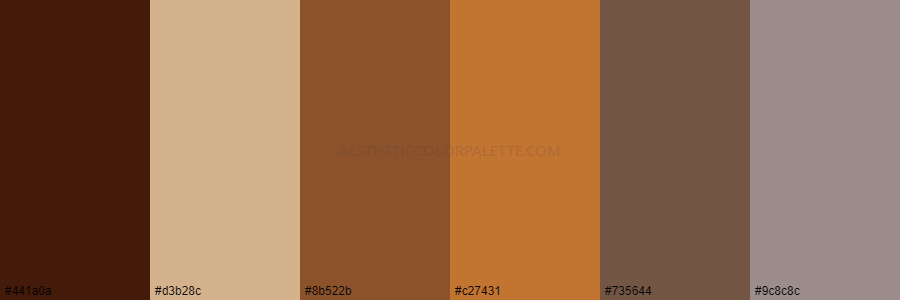 color palette 441a0a d3b28c 8b522b c27431 735644 9c8c8c