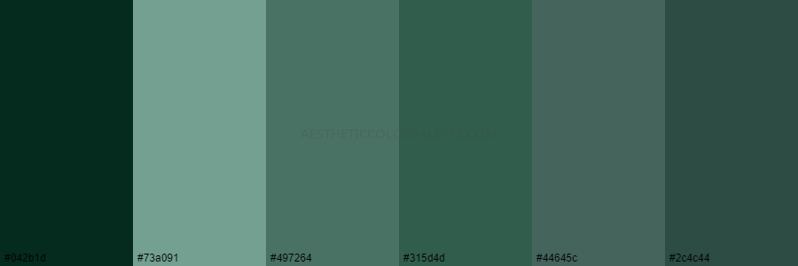 color palette 042b1d 73a091 497264 315d4d 44645c 2c4c44