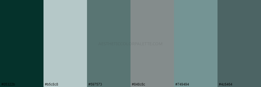 color palette 05322b b5c8c8 597573 848c8c 749494 4c6464