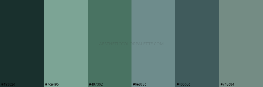 color palette 19302d 7ca495 497362 6e8c8c 405b5c 748c84