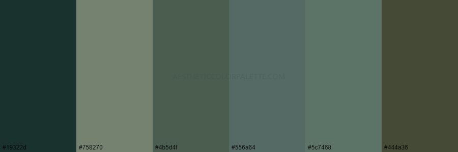 color palette 19322d 758270 4b5d4f 556a64 5c7468 444a36