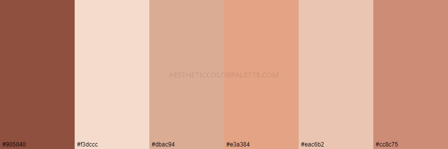 color palette 905040 f3dccc dbac94 e3a384 eac6b2 cc8c75 1