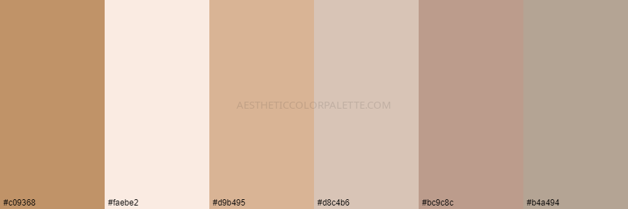 color palette c09368 faebe2 d9b495 d8c4b6 bc9c8c b4a494