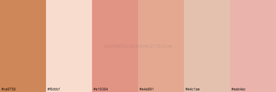 color palette ce8758 f8ddcf e19384 e4a891 e4c1ae eab4ac 1