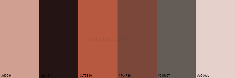 color palette d09f91 241514 b75840 7c473b 645c57 e5d0cb