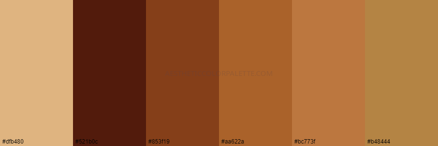 color palette dfb480 521b0c 853f19 aa622a bc773f b48444