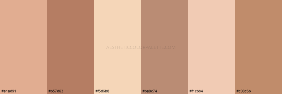 color palette e1ad91 b57d63 f5d6b8 ba8c74 f1cbb4 c08c6b