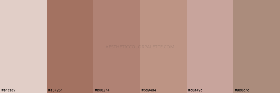 color palette e1cec7 a37261 b08274 bd9484 c8a49c ab8c7c