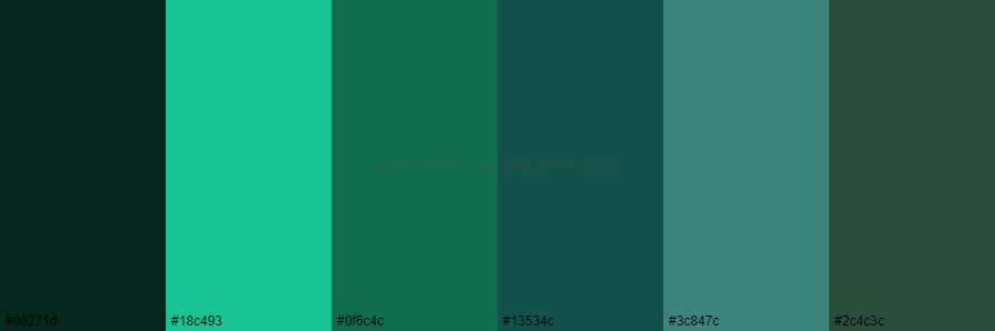 color palette 06271d 18c493 0f6c4c 13534c 3c847c 2c4c3c