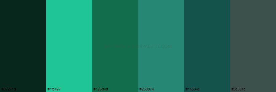 color palette 07271d 1fc497 126d4d 268874 14534c 3c504c