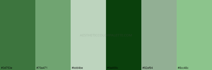color palette 3d753e 70a471 bdd4be 0a400c 92af94 8cc48c