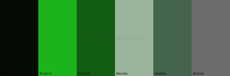 color palette #050b05 #1cb31d #125d12 #9cb49c #44644c #6c6c6c