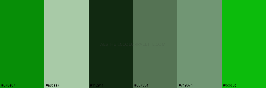 color palette #078e07 #a8caa7 #112911 #557354 #719674 #0cbc0c
