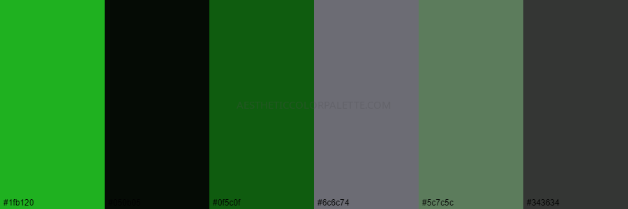 color palette #1fb120 #050b05 #0f5c0f #6c6c74 #5c7c5c #343634