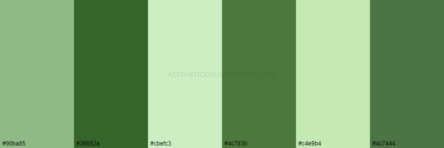 color palette 90ba85 36652a cbefc3 4c783b c4e9b4 4c7444