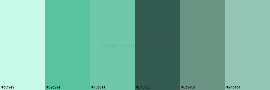 color palette c8f9e9 59c29e 70c8aa 345b50 6c9484 94c4b4